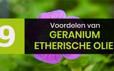 9 voordelen van Geranium olie