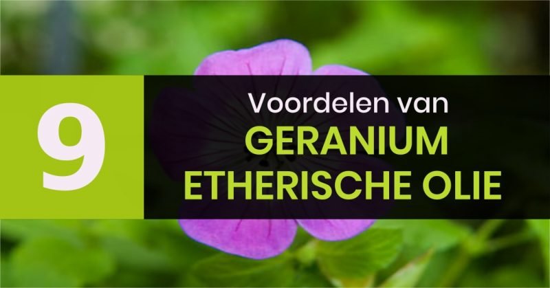 9 voordelen van Geranium olie